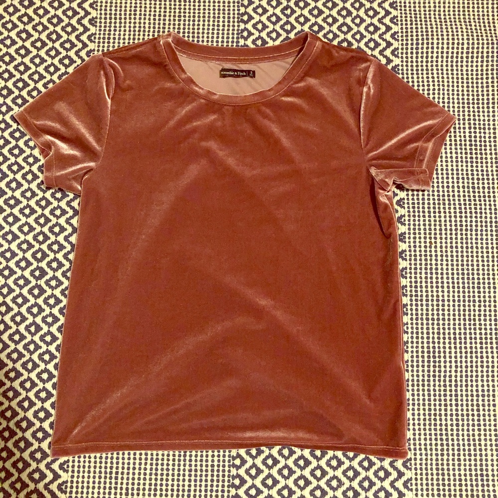 Abercrombie and Fitch velvet top